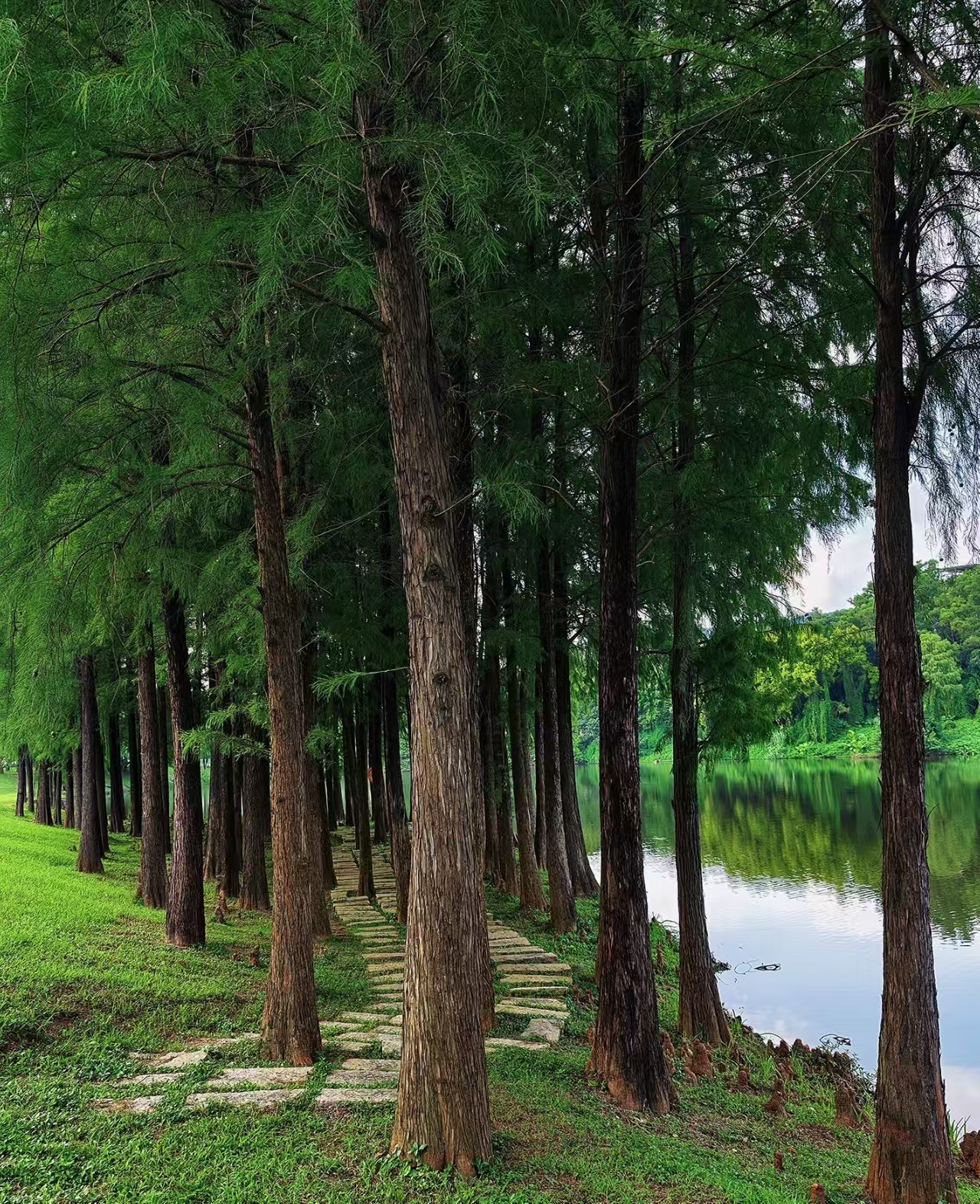 路边风景